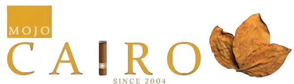 Mojo Cairo Logo