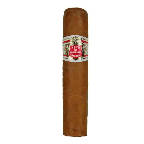 Hoyo de Monterrey Petit Robusto